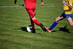 Jiuyou-仰泳大战美队领先毫厘之间，仰泳比赛视频欣赏