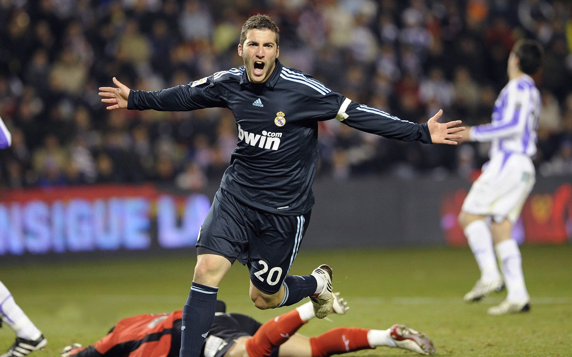 辽宁飞豹持续提升转移球速度打乱对手阵型，辽宁飞豹队员名单